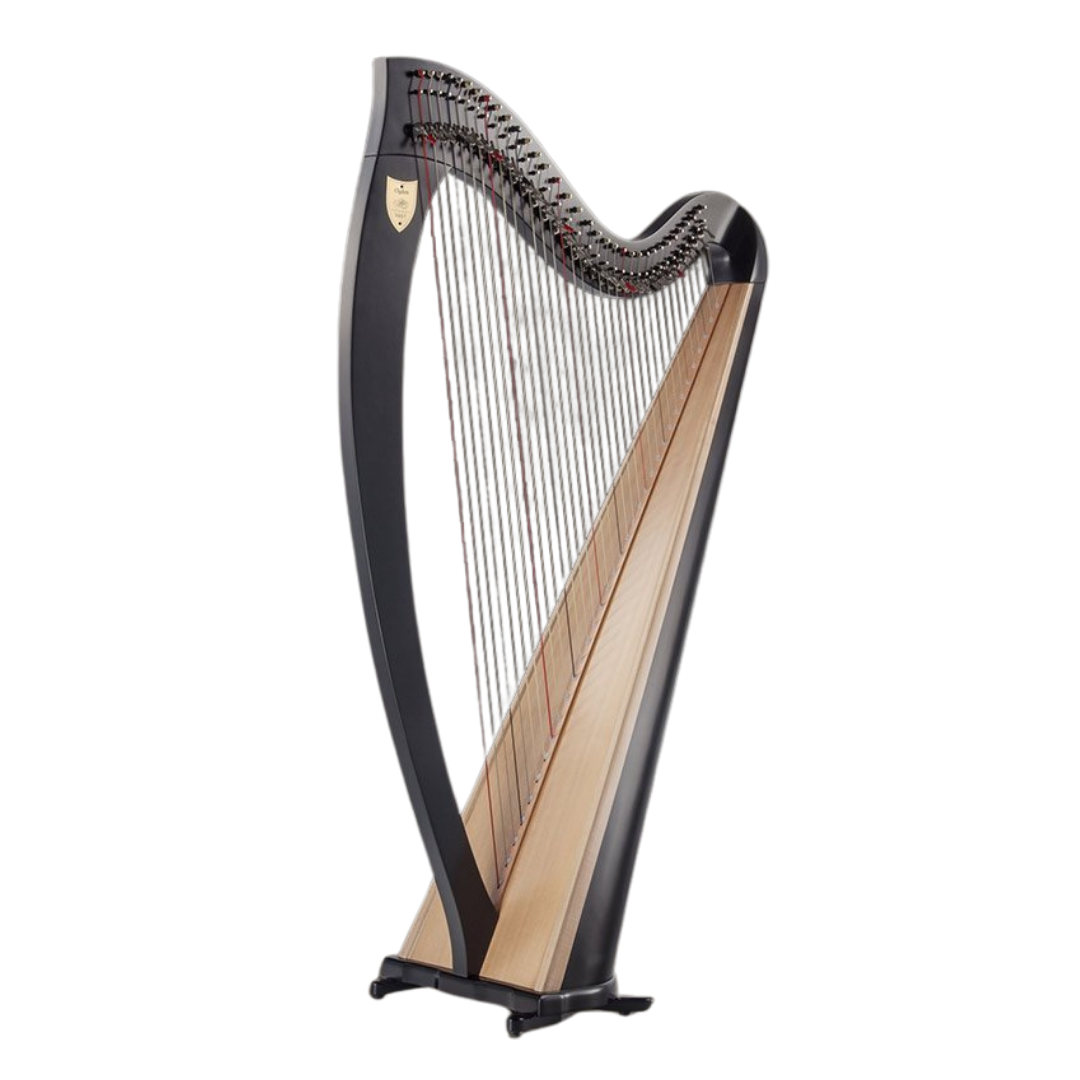 Harp Color Ogden - The Harp Shop