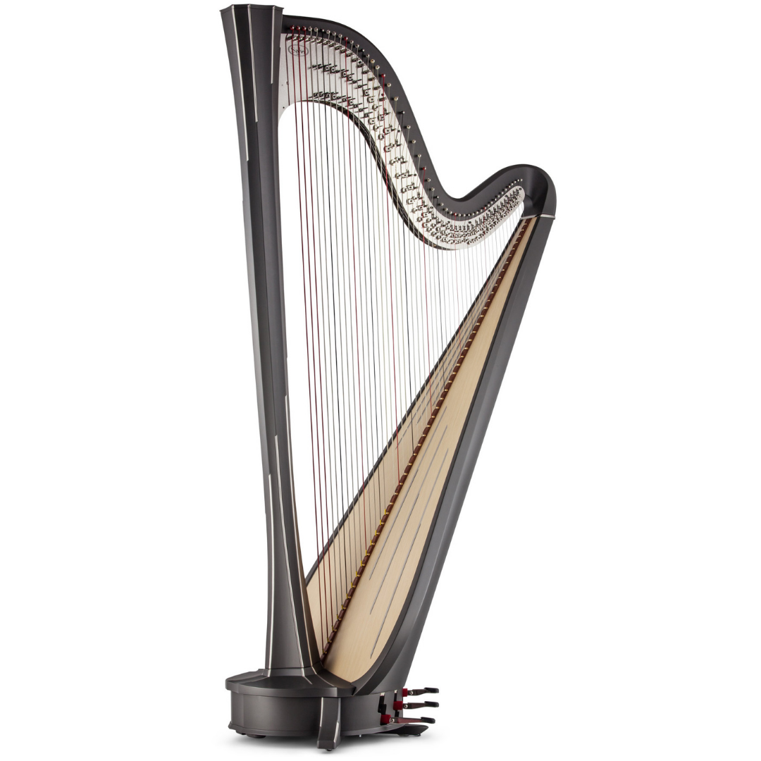 Reus 49 - The Harp Shop